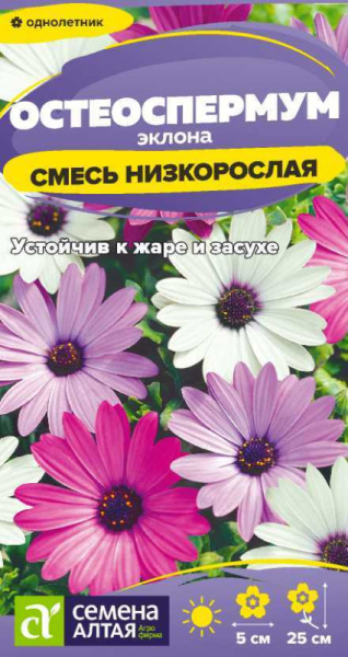 Остеоспермум Смесь эклона низкорослая SA 0,1г