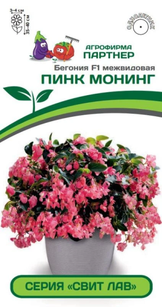 Бегония межвидовая серия "Свит Лав" ПИНК МОНИНГ F1 4шт в амп