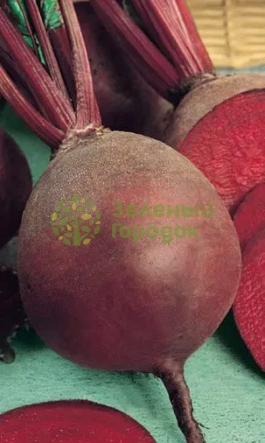 Свекла столовая Червона Кула (Красный шар) (Марс) белый пакет 2г