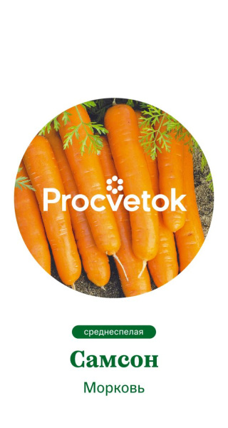 Морковь Самсон Нидерланды Pro 1г