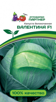 Капуста б/к ВАЛЕНТИНА F1 0,2г Капуста б/к ВАЛЕНТИНА F1 0,2г