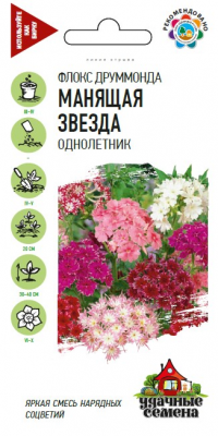 Флокс друммонда Манящая звезда ГВ 0,1г Флокс друммонда Манящая звезда ГВ 0,1г