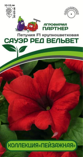 Петуния КОЛЛЕКЦИЯ «ПЕЙЗАЖНАЯ» САУЭР РЕД ВЕЛЬВЕТ F1 крупноцветковая кустовая 10шт в амп Петуния КОЛЛЕКЦИЯ «ПЕЙЗАЖНАЯ» САУЭР РЕД ВЕЛЬВЕТ F1 крупноцветковая кустовая 10шт в амп