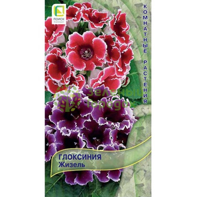 Глоксиния Жизель (ЦВ) 5шт Глоксиния Жизель (ЦВ) 5шт