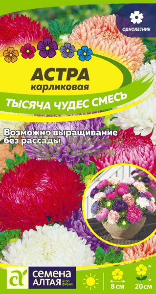 Астра карликовая Тысяча чудес смесь SA 0,2г Астра карликовая Тысяча чудес смесь SA 0,2г