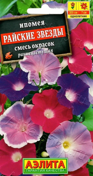 Ипомея Райские звезды смесь окрасок АЭ 0,5г Ипомея Райские звезды смесь окрасок АЭ 0,5г