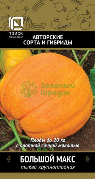 Тыква крупноплодная Большой Макс (ЦВ) 10шт