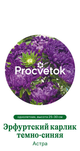 Астра Эрфуртский карлик темно-синяя Германия Pro 0,2г Астра Эрфуртский карлик темно-синяя Германия Pro 0,2г