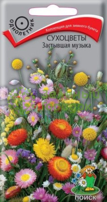 Сухоцветы Застывшая музыка (ЦВ) 0,3г