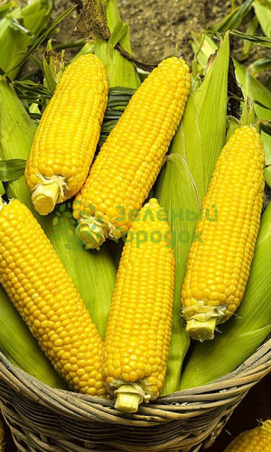 Кукуруза Лакомка сахарная (Марс) белый пакет 5г