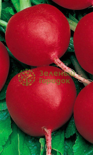 Редис Софит (Марс) белый пакет 2г Редис Софит (Марс) белый пакет 2г