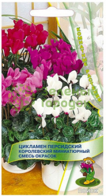 Цикламен персидский Королевский миниатюрный смесь окрасок (ЦВ) 2шт Цикламен персидский Королевский миниатюрный смесь окрасок (ЦВ) 2шт