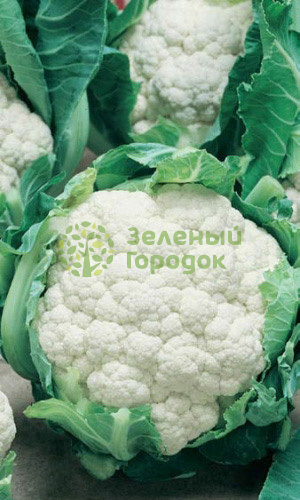 Капуста цветная Сноуболл (Марс) белый пакет 0,3г Капуста цветная Сноуболл (Марс) белый пакет 0,3г