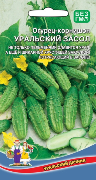 Огурец Уральский засол корнишон УД 12шт Огурец Уральский засол корнишон УД 12шт