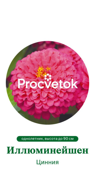 Цинния Иллюминейшен Германия Pro 0,5г