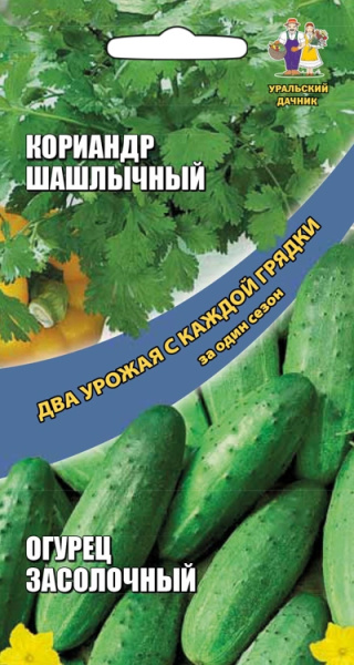 Кориандр Шашлычный + Огурец Засолочный Два урожая Кориандр Шашлычный + Огурец Засолочный Два урожая