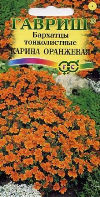Бархатцы тонколистные (тагетес) Карина оранжевая ГВ 0,05г