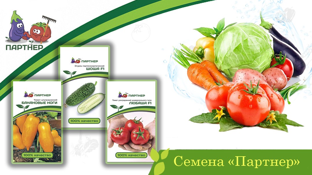 Семена "Партнер".