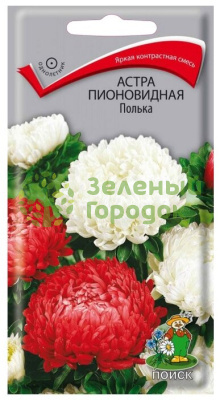Астра пионовидная Полька (ЦВ) 0,3г Астра пионовидная Полька (ЦВ) 0,3г