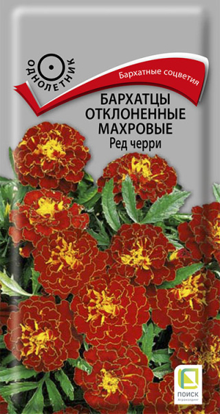 Бархатцы откл. махровые Ред черри (ЦВ) 0,3г Бархатцы откл. махровые Ред черри (ЦВ) 0,3г