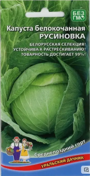 Капуста б/к Русиновка УД Капуста б/к Русиновка УД