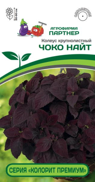 Колеус шлемниковидный «КОЛОРИТ ПРЕМИУМ» ЧОКО НАЙТ 5шт в амп Колеус шлемниковидный «КОЛОРИТ ПРЕМИУМ» ЧОКО НАЙТ 5шт в амп