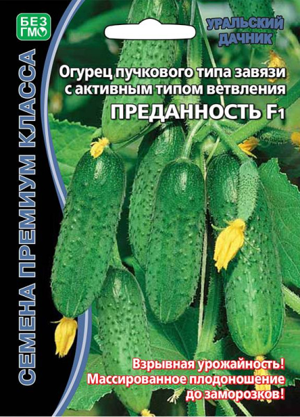 Огурец Преданность F1 УД Б/Ф 5+2шт Огурец Преданность F1 УД Б/Ф 5+2шт