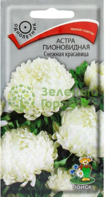 Астра пионовидная Снежная красавица (ЦВ) 0,3г Астра пионовидная Снежная красавица (ЦВ) 0,3г