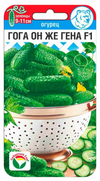 Огурец Гога он же Гена СИБ 5шт