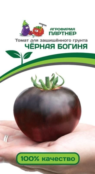 Томат ЧЕРНАЯ БОГИНЯ 10шт Томат ЧЕРНАЯ БОГИНЯ 10шт