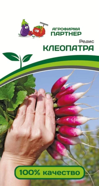 Редис КЛЕОПАТРА 2г Редис КЛЕОПАТРА 2г