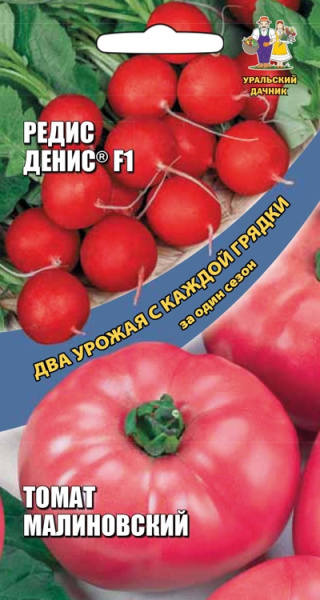 Редис Денис F1 + Томат Малиновский Два урожая Редис Денис F1 + Томат Малиновский Два урожая