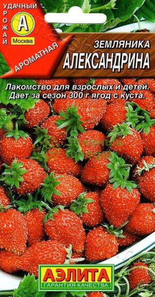 Земляника Александрина АЭ 0,04г Земляника Александрина АЭ 0,04г