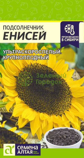 Подсолнечник Енисей SA 10г