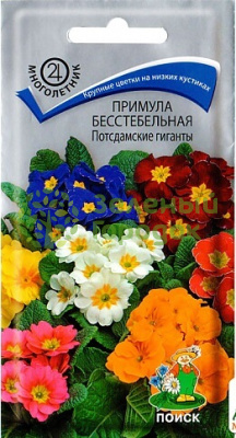 Примула бесстебельная Постдамские гиганты (ЦВ) 0,05г Примула бесстебельная Постдамские гиганты (ЦВ) 0,05г
