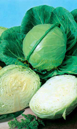 Капуста б/к Июньская (Марс) белый пакет 0,5г