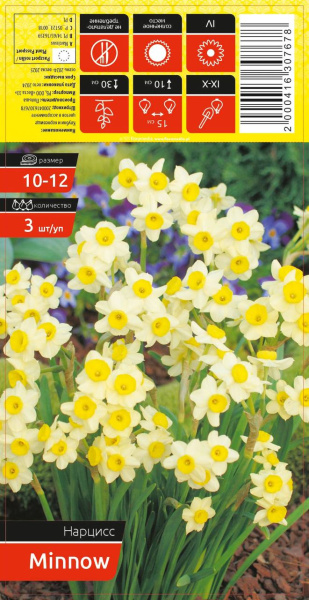 Нарцисс MINNOW 10-12 каперс 3шт/уп (уценка, только самовывоз)