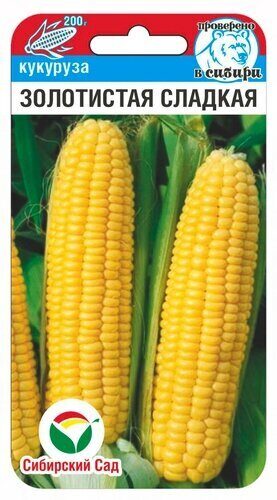 Кукуруза Золотистая сладкая СИБ 10шт