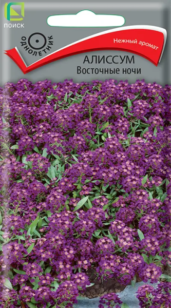 Алиссум Восточные ночи (ЦВ) 0,3г Алиссум Восточные ночи (ЦВ) 0,3г