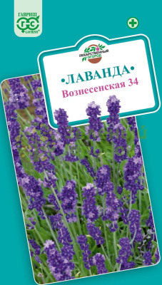 Лаванда узколистная Вознесенская 34 ГВ 0,05г