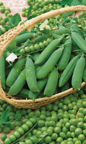 Горох Спринтер (Марс) белый пакет 8г