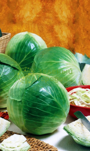 Капуста б/к Мечта (Марс) белый пакет 0,2г