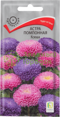 Астра Помпонная Ксюша (ЦВ) 0,3г Астра Помпонная Ксюша (ЦВ) 0,3г