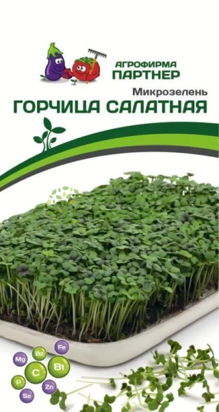 Микрозелень ГОРЧИЦА САЛАТНАЯ 5г Микрозелень ГОРЧИЦА САЛАТНАЯ 5г
