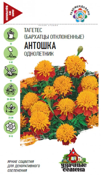 Бархатцы Антошка отклоненные (тагетес) Удачные семена ГВ 0,3г Бархатцы Антошка отклоненные (тагетес) Удачные семена ГВ 0,3г