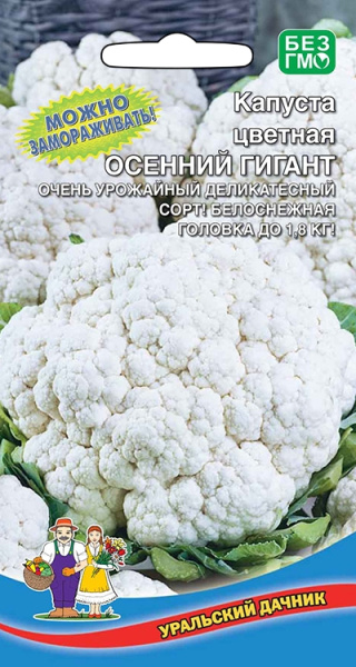 Капуста цветная Осенний Гигант УД