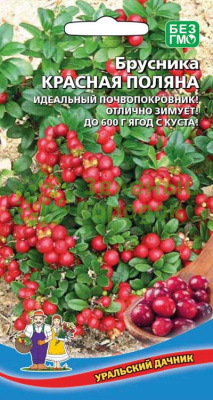 Брусника Красная поляна УД 20шт Брусника Красная поляна УД 20шт