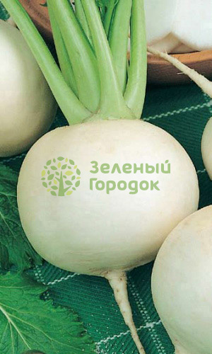 Дайкон Саша (Марс) белый пакет 1г Дайкон Саша (Марс) белый пакет 1г