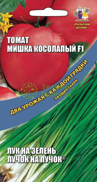 Томат Мишка косолапый F1 + Лук на зелень Лучок на пучок Два урожая Томат Мишка косолапый F1 + Лук на зелень Лучок на пучок Два урожая