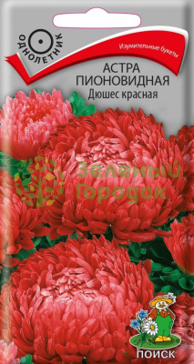 Астра пионовидная Дюшес красная (ЦВ) 0,3г Астра пионовидная Дюшес красная (ЦВ) 0,3г